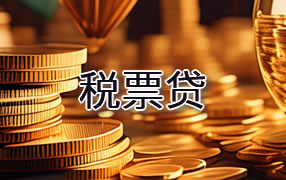 昭通税票贷